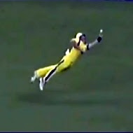 Cricket