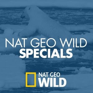 Nat Geo Wild - YouTube