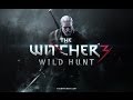 Предзакажи The Witcher 3: Wild Hunt в Steam!