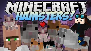 Minecraft | HAMSTERS! (The Great Hamster RACE!) | Mod Showcase