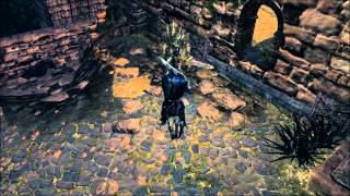 Dark Souls Ornstein vs Artorias vs Ciaran vs Hawkeye Gough