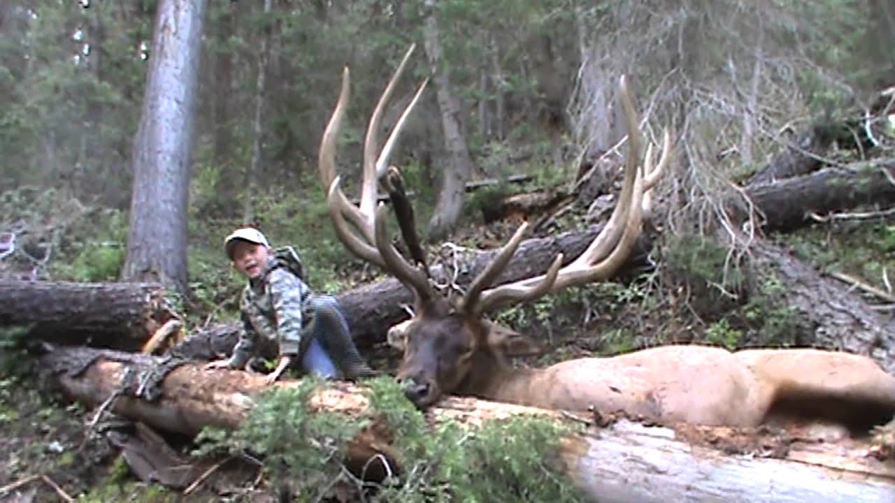 Biggest bull elk taken in the state of UTAH in the year of 2011 - YouTube