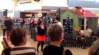 Northlands Christmas Flash Mob 2013