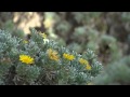 Un Parque Nacional de Zonas Áridas en los sueños de los majoreros