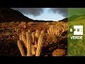Un Parque Nacional de Zonas Áridas en los sueños de los majoreros