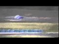 escort d1 drift fay 19 02 2011