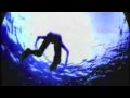 Ironman Triathlon Motivation