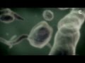 Voyage aux origines de la Terre (1/2) - Planète en fusion.FRANCE 5 (2012)