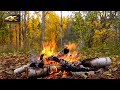 Autumn Ambience - Relaxing Campfire & Nature Sounds  4K Ultra HD[1]