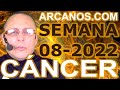 Video Horscopo Semanal CNCER  del 13 al 19 Febrero 2022 (Semana 2022-08) (Lectura del Tarot)