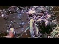Japan's War in Colour (Complete Documentary)