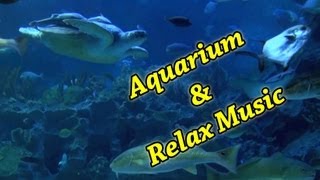 AQUARIUM 54 min Full HD & relax music