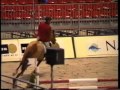 Grand Prix A1-Nantes-2001. Jument Jolie Feradie et Bernard Sainsardos
