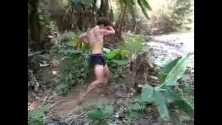 Muay Thai on banana tree