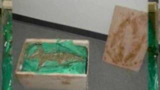UPS delivers pot to wrong house