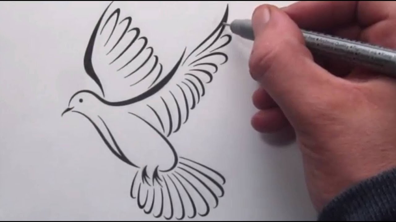 How To Draw a Tribal Dove Tattoo Design - YouTube