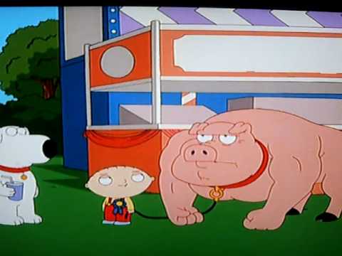 Family guy pig on steroids