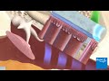 How the ear works