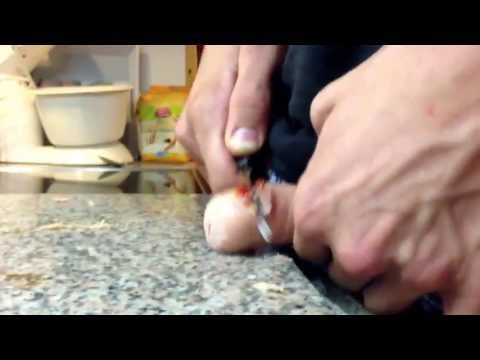 Metal butt plugs dildo fleshlight Grandmas masturbation habits
