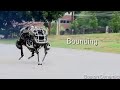Very cool robot runs