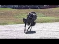 Very cool robot runs