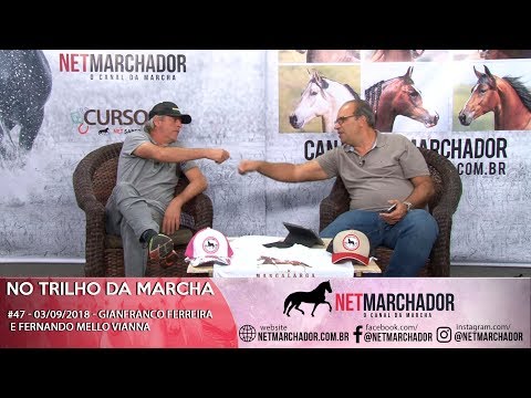 #46 NO TRILHO DA MARCHA - 27/08 - GIANFRANCO FERREIRA E FERNANDO MELLO VIANNA -MANGALARGA AMRCHADOR