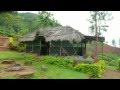 Escapade de 3 semaines en Inde du Sud