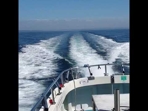 Steaming offshore in perfect conditions