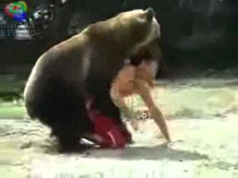 Dancing bear bj free porn compilation