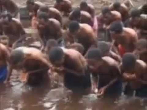 Papua masuk islam.FLV - YouTube