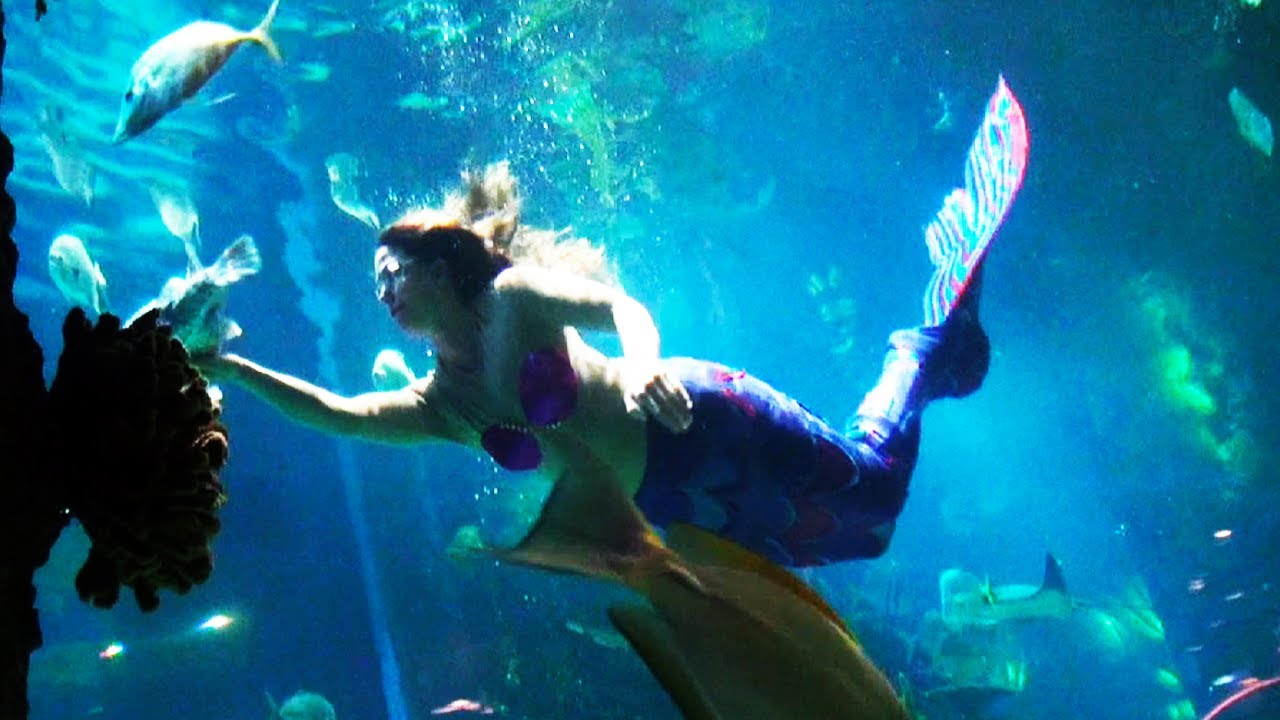 Mermaid swimming - YouTube