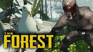 SEAGULLS AND CANNIBALS - The Forest Ep.1