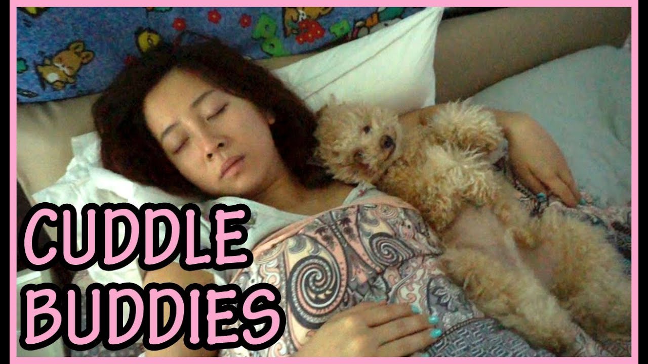 CUDDLE BUDDIES! YouTube