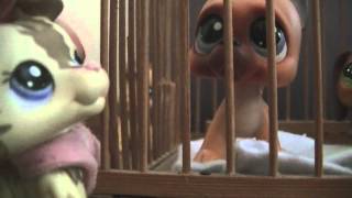 LPS Outlaw part one locked up