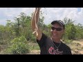 FAQ#1 Can you shoot live animals at the Cambodian Shooting range