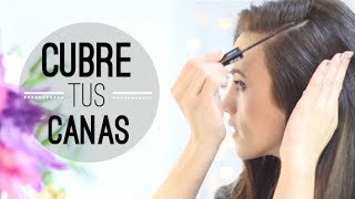 Adios a la canas " Consejos y trucos"