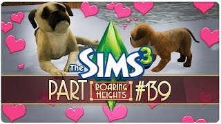 #139 ★ HUNDEBABY!!! [Let's Play: DIE SIMS 3] + Alle Erweiterungen