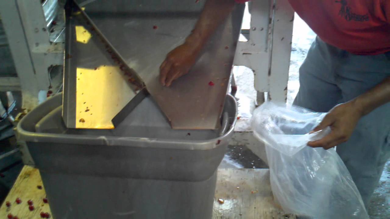 dawson v cherry tree machine kimmel orchard cherry pitting machine dawson v cherry tree machine kimmel orchard cherry pitting machine