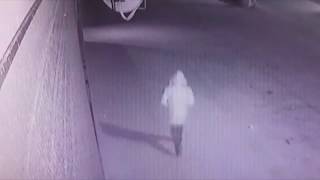 Внимание, розыск!