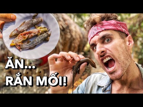 Slingshot Catch and Cook Lizards! Săn Bắt Bằng Ná và Nấu Rắn Mối!
