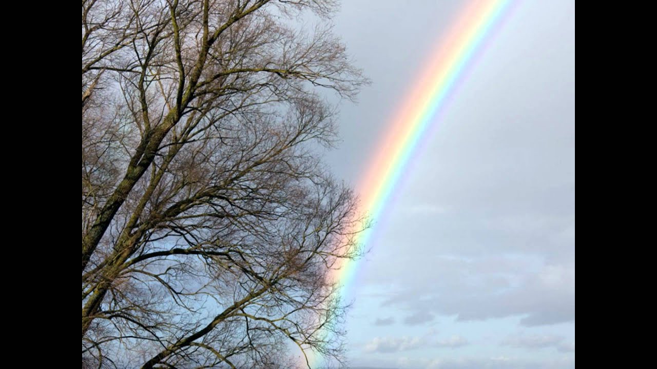 Official Somewhere Over The Rainbow Israel Iz Kamakawiwo?Ole Download Free Official Somewhere Over The Rainbow Israel Iz Kamakawiwo?Ole Download Free