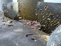 *NO JOKE* Never before seen sea creatures found on a military sub