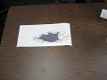 Making a Car Window Sticker using a Roland SV-8 Vinyl Cutter