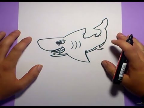 Como dibujar un tiburon paso a paso 5 