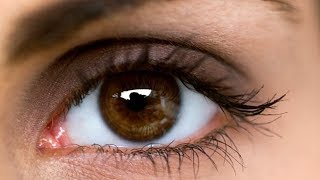 10 Cosas que Desconocías de los Ojos