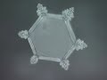 Mensajes del Agua - Documental del Dr.Masaru Emoto (DOC COMPLETO)