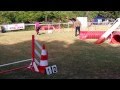 CONCOURS AGILITY - 22 JUIN 2014