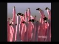 Танец розовых фламинго Танец розовых фламинго
