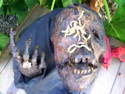 MAGGOT INFESTED ROTTING CORPSE - YouTube