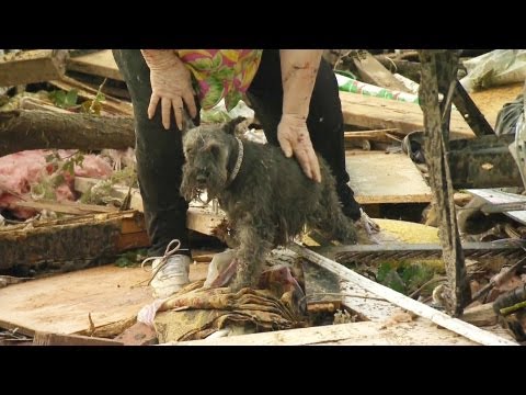 Okla. tornado survivor finds dog buried alive under rubble 0 Oklahoma City manager: Tornado created